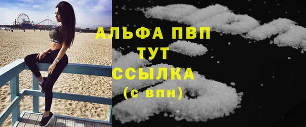 индика Карпинск