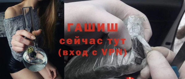 индика Карпинск