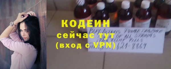 индика Карпинск