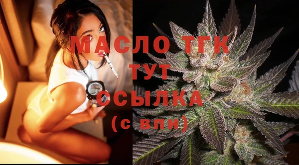 индика Карпинск